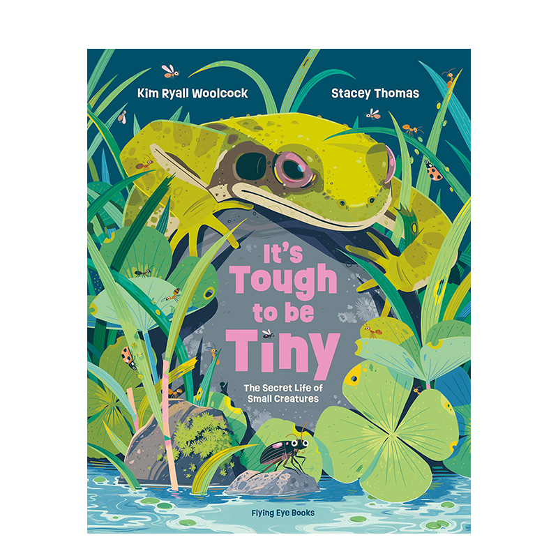 做小动物真的很困难英文儿童绘本