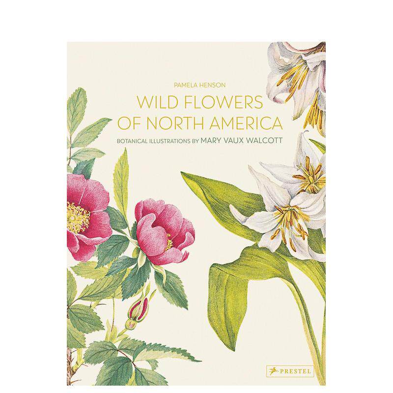 【现货】北美洲野生花卉:Mary Vaux Walcott植物水彩插画 Wild Flowers of North America 英文原版艺术作品集画册画集 善本图书