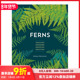 Crafting Ferns 蕨类植物：室内 Outdoors 室外 Indoors 预售 原版 制作 善本图书 种植 英文社会科学 Growing