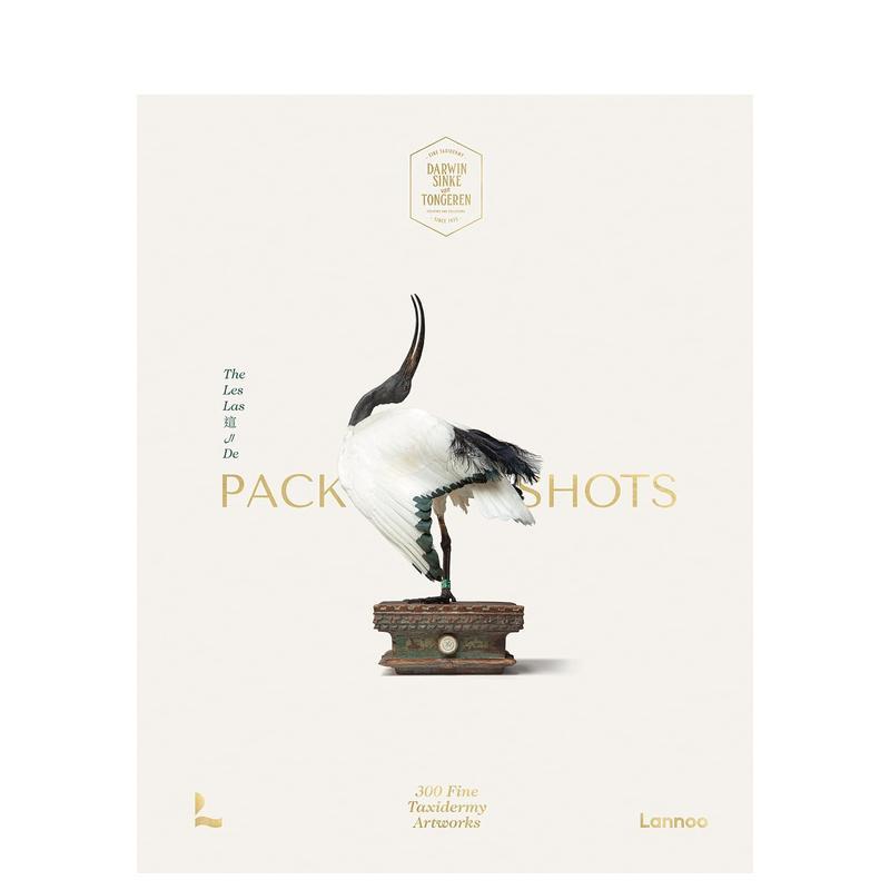 精美野生动物标本艺术品 Pac