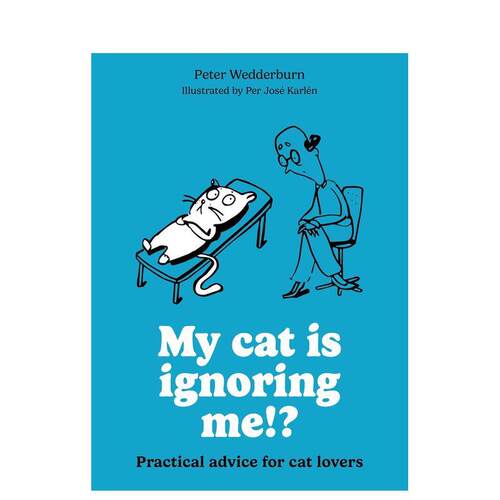 我的猫不理我了！？给爱猫人士的
