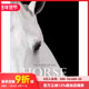 Art the 马之书 Horses The Horse 预售 英文原版 善本图书 Book 艺术图书画册画集