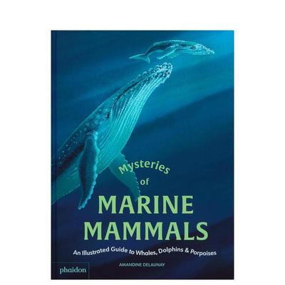 【预售】海洋哺乳动物之谜：鲸鱼、海豚和鼠海豚图解指南 Mysteries of Marine Mammals 原版英文儿童绘本