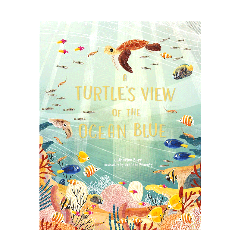 【预售】海龟眼中的海洋A Turtle‘s View of the Ocean Blue 6-12岁海底世界奇妙视觉趣味英文故事绘本 生物科普早教 善本图书