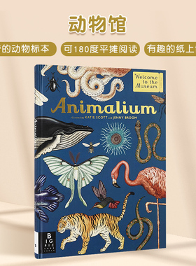【欢迎来到博物馆系列】动物馆Animalium 真菌/植物/天文/恐龙/海洋/蘑菇(可单拍) 精装大开本插图精美科普读物 英文原版