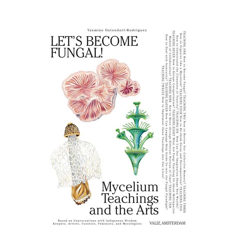 让我们成为真菌吧！ - 菌丝学