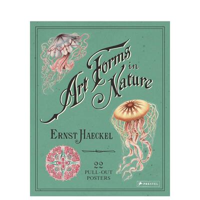 【预售】[PRESTEL出版]Ernst Haeckel 恩斯特·海克尔：自然界中的艺术形式：22张拉出式海报