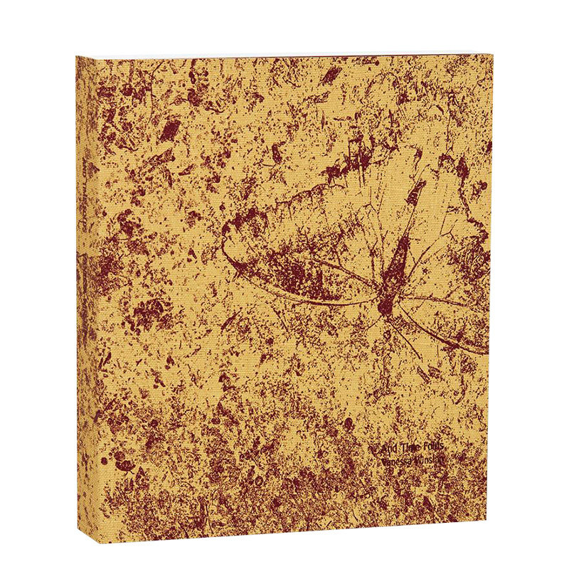 【预售】时间折叠And Time Folds 摄影师Vanessa Winship 英文原版进口画册善本图书MACK出版