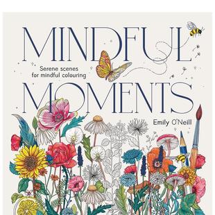 原版 善本图书 Mindful Scenes for Serene 心灵时刻：心灵宁静场景填色本 Moments 英文心灵励志 Colouring 预售