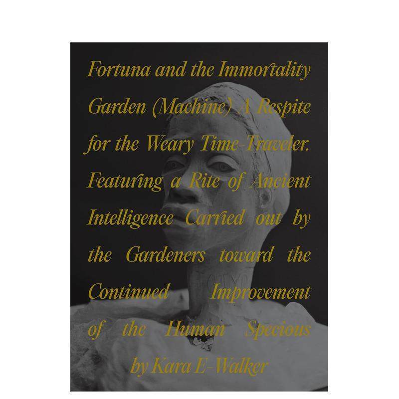 命运与不朽花园:时光旅行者的休