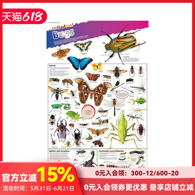 虫子海报 DKfindout! Poster Bugs 原版英文儿童趣味 善本图书