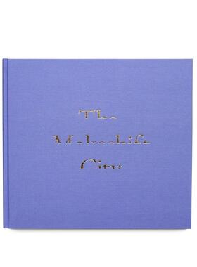 【预售】临时城市 The Makeshift City 原版英文摄影作品集 善本图书