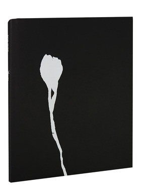 【预售】Nausea恶心眩晕 摄影师Ron Jude单调空间和物体视觉传达作品集 英文原版进口画册善本图书MACK出版