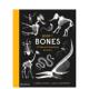 Breaking 骨骼之书：10 种破纪录 Bones 预售 Animals Book 英文儿童绘本 动物 原版 Record
