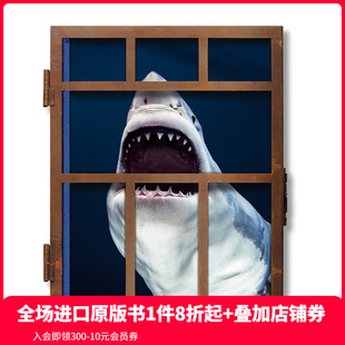 善本图书 迈克尔·穆勒摄影艺术书籍作品集进口原版 现货 TASCHEN限量版 Sharks 图书 Muller Michael TASCHEN