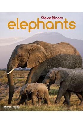 【现货】大象：一本儿童书 ELEPHANTS 原版英文儿童绘本 Thames & Hudson