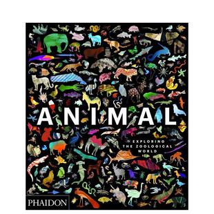 动物 Animal 探索动物学 世界 人文社科 英文原版 现货