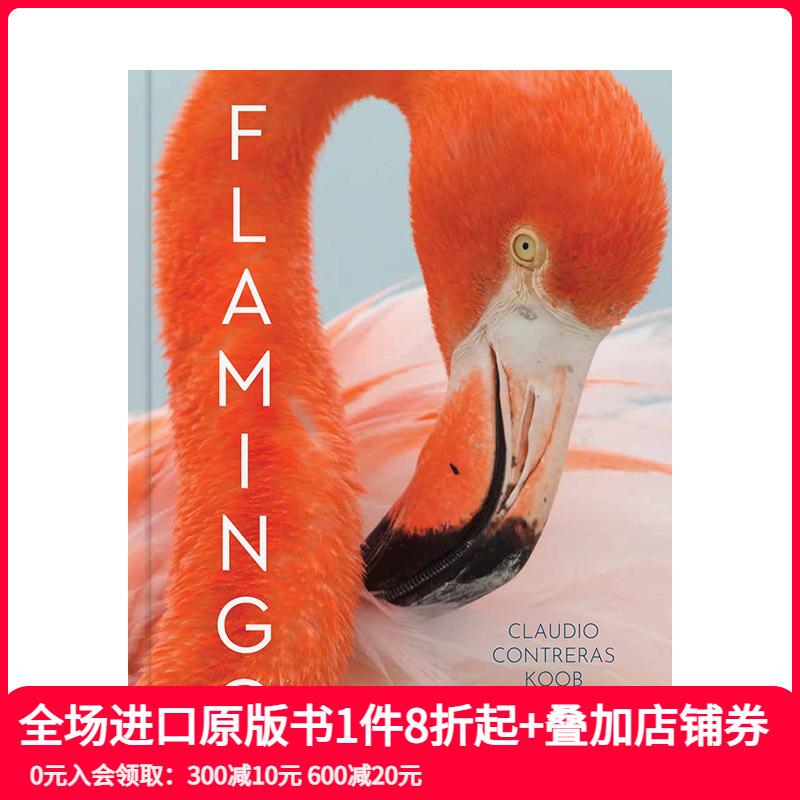 火烈鸟英文摄影纪实英文原版