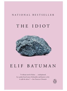 【预售】白痴 The Idiot 普利策奖入围 Elif Batuman 英文原版文学小说 善本图书