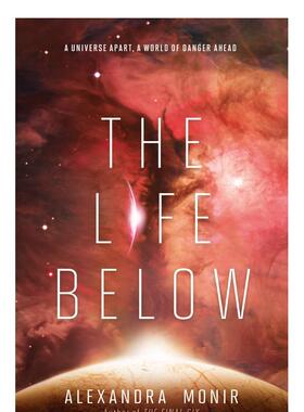 【现货】在下面的生活 The Life Below 原版英文青少年读物