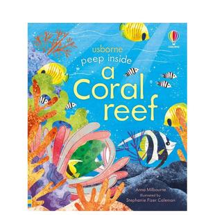 【现货】珊瑚礁Peep Inside a Coral Reef 3-6岁少儿生物科学科普知识启蒙故事洞洞书绘本 英文原版 善本图书