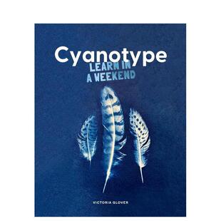 【现货】一周学会蓝晒法 【Learn in a Weekend】Cyanotype 原版英文手工制作