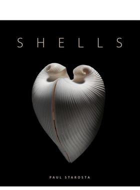 【现货】贝壳 Shells 原版英文社会科学