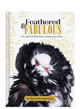 【现货】羽毛丰满 & 智慧惊人 Feathered & Fabulous 原版英文生活综合