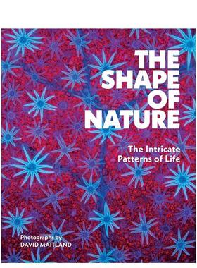 【预售】自然的形态：生命的精妙图式 The Shape of Nature: The Intricate Patterns of Life 原版英文摄影作品集自然景观