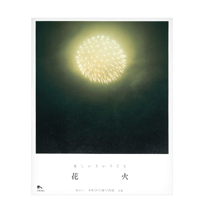 川内伦子摄影集花火作品