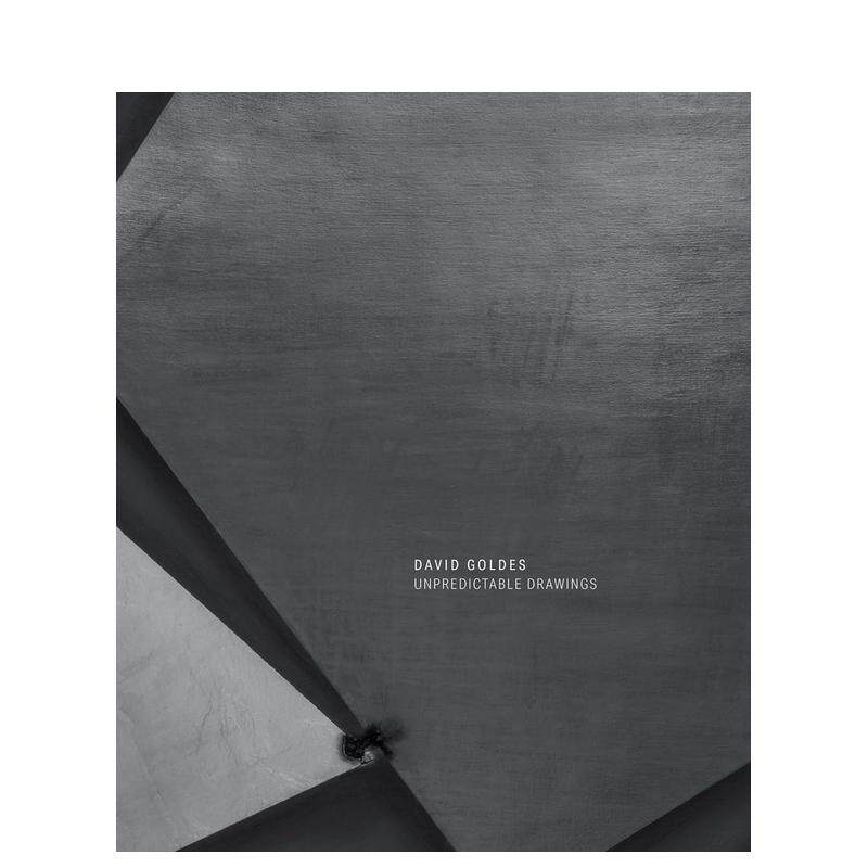 【预售】不可预测的图画 David Goldes: Unpredictable Drawings 英文艺术家 工作室 原版图书外版进口书籍 David Goldes  Pavel