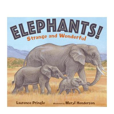 【现货】Elephants!，大象！