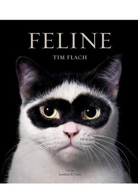 【预售】猫态：摄影集 Feline: Photographs 原版英文摄影作品集