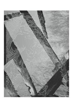 【预售】摄影集 西尔万·库齐内-雅克 伊甸园 Sylvain Couzinet-Ja