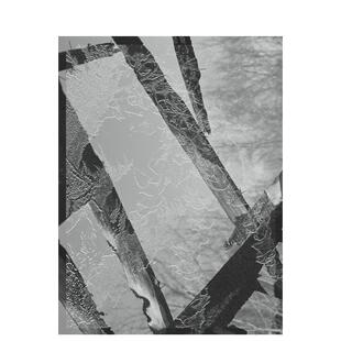 【预售】摄影集 西尔万·库齐内-雅克 伊甸园 Sylvain Couzinet-Ja