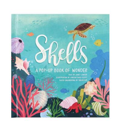 【预售】Shells 贝壳：夏日立体书 英文原版儿童立体书