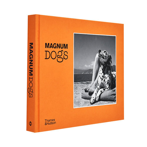 【现货】Magnum Dogs 马格南狗狗 英文原版精装进口摄影集 流浪狗表演狗宠物狗勾宠物拍摄作品集