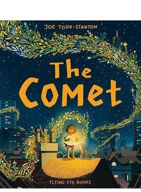 【现货】彗星 The Comet Joe Todd-Stanton Flying Eye Books 故事图画书 英文原版进口儿童绘本 善本图书