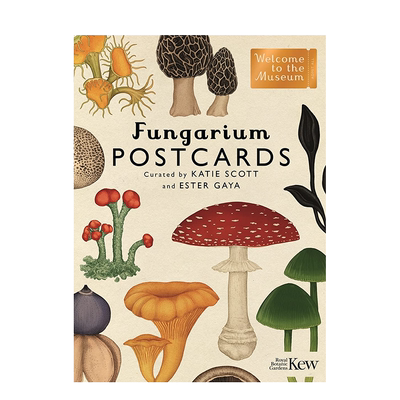 【预售】【欢迎来到博物馆系列】蘑菇馆明信片 Fungarium Postcards 英文原版进口随书赠礼送礼卡片生日礼物装饰小画 善本图书