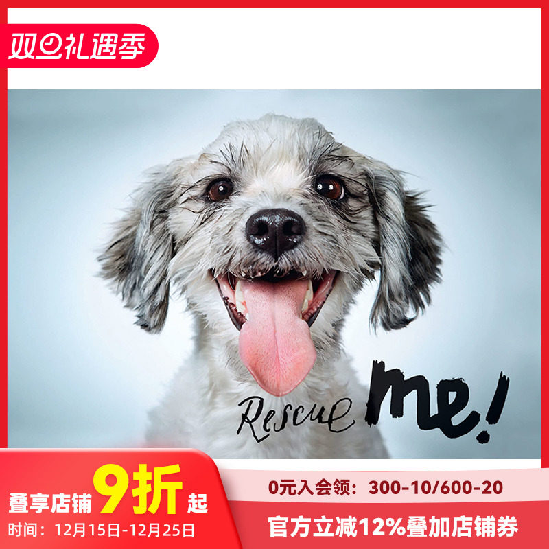 【现货】英文原版 拯救我：纽约的狗狗收养肖像和故事 Rescue Me: Dog Adoption Portraits and Stories from New York City