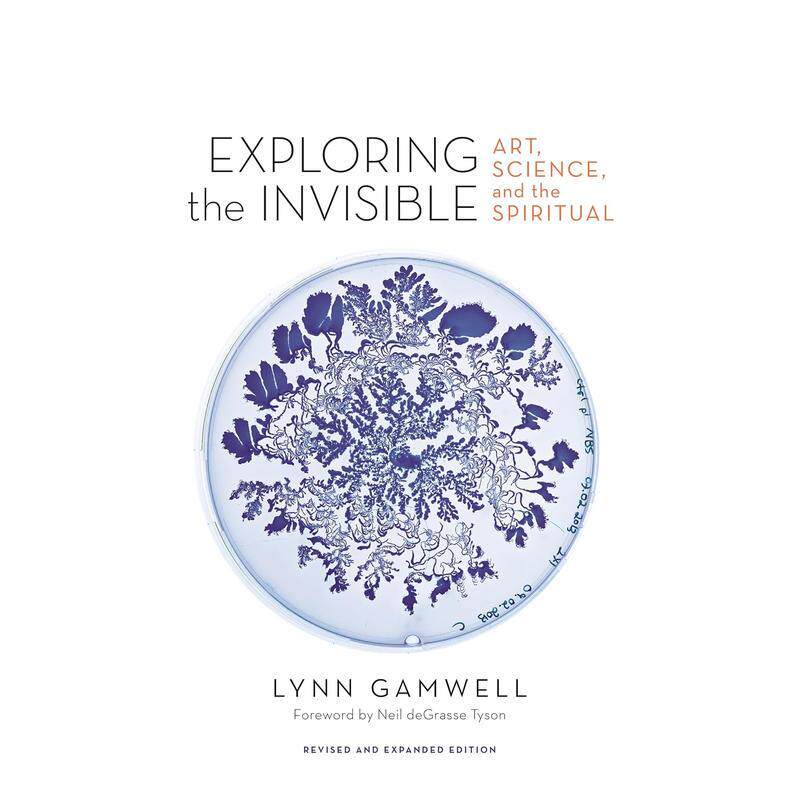 【现货】探索无形：艺术、科学和精神（修订扩展版） Exploring the Invisible: art Science  原版英文艺术画册画集