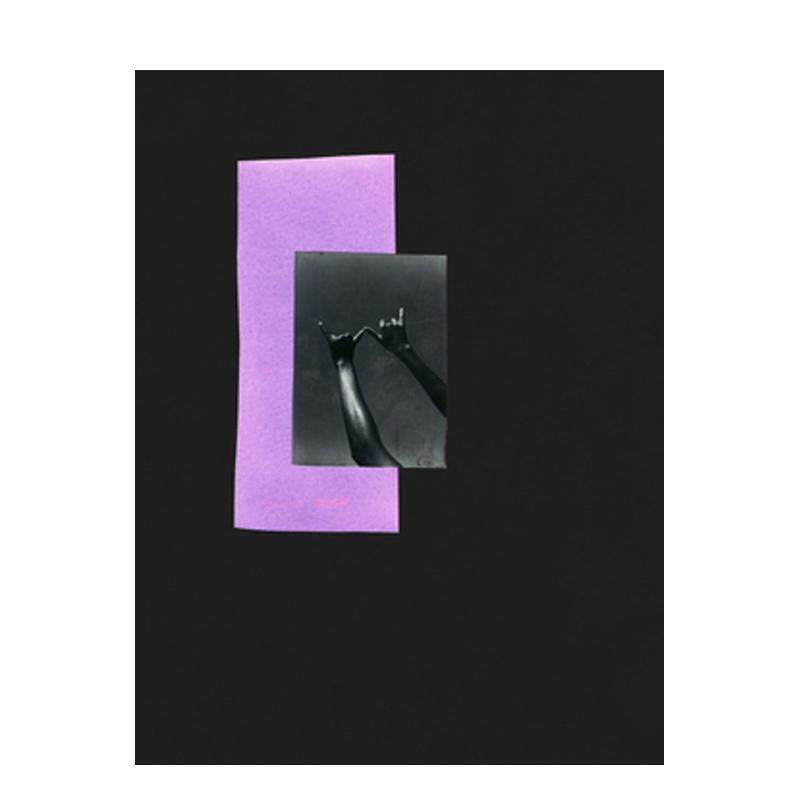 【预售】Dionne Lee:流动 Dionne Lee: Currents 原版英文摄影作品集 善本图书