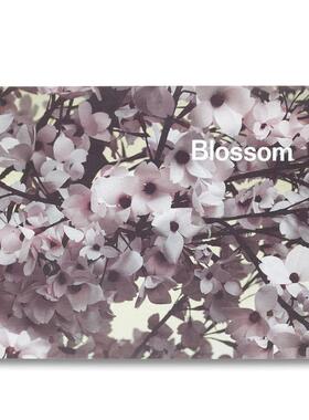 【预售】Blossom繁花 艺术家Thomas Demand+作家Ben Lerner摄影集画册 英文原版进口善本图书 MACK出版