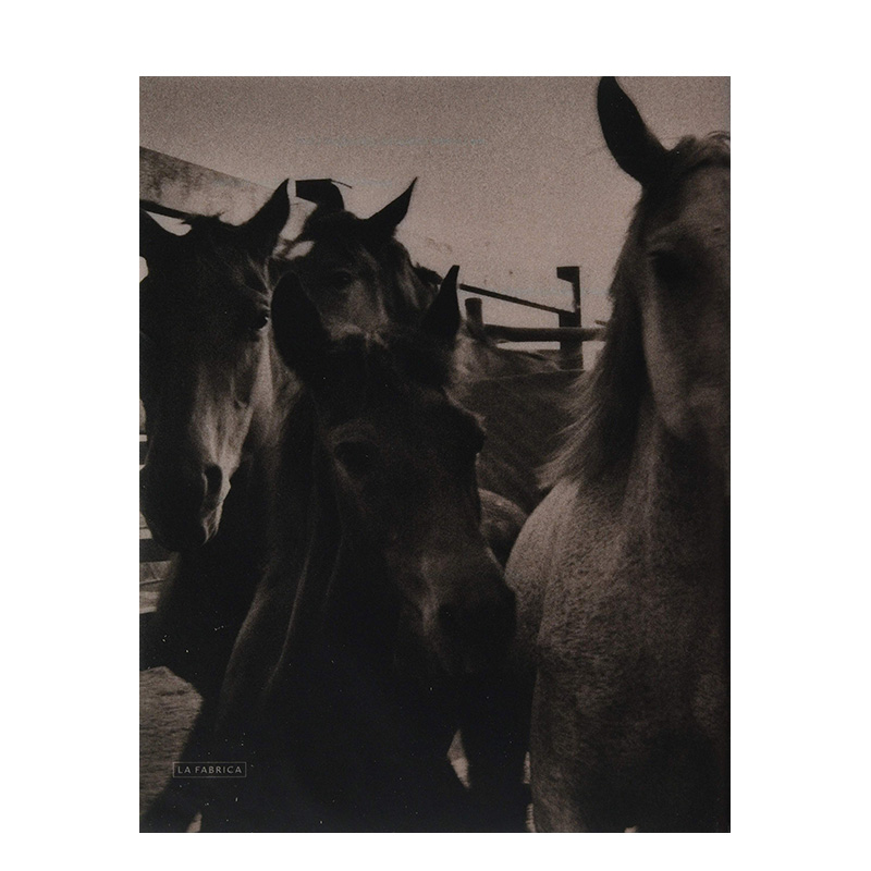 【现货】曼努埃尔·纳兰霍Manuel Naranjo摄影作品集：2016 英文原版进口艺术画册 善本图书