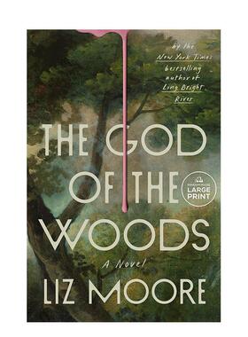 【预售】森林守护神 God of the Woods 纽约时报畅销书 Long Brigh