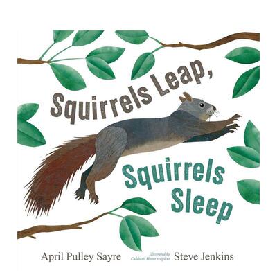 【预售】Squirrels Leap  Squirrels Sleep，松鼠跳跃时，松鼠安眠时 英文 Beach Lane Books 善本图书