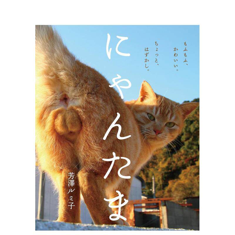 【预售】猫咪的蛋蛋 にゃんたま 日文原版宠物抓拍摄影作品集书籍公猫写真集日本进口图书 日本女性猫咪摄影师芳澤 ルミ子‌