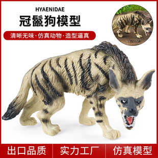 冠鬣狗模型儿童认知非洲野狗斑鬣狗动物玩具男女孩实心仿真狗摆件