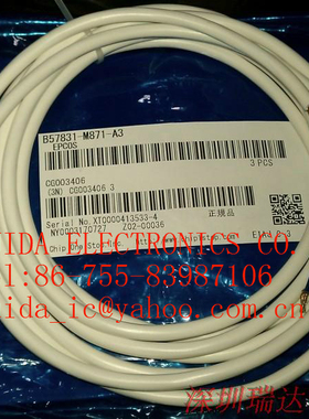 NTC 热敏电阻探头 EPCOS B57831M871A3