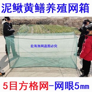 泥鳅黄鳝鱼苗养殖加盖网箱小龙虾牛蛙防逃网箱5目5mm方格养鱼网箱